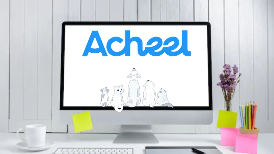 Assurance Animaux Acheel : Protégez vos Compagnons à Quatre Pattes