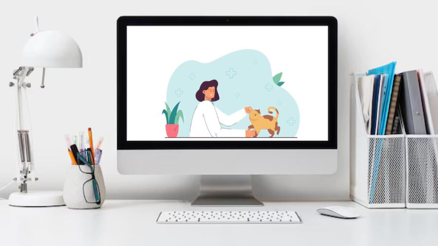 Comparer les assurances chats : l'avis de nos experts