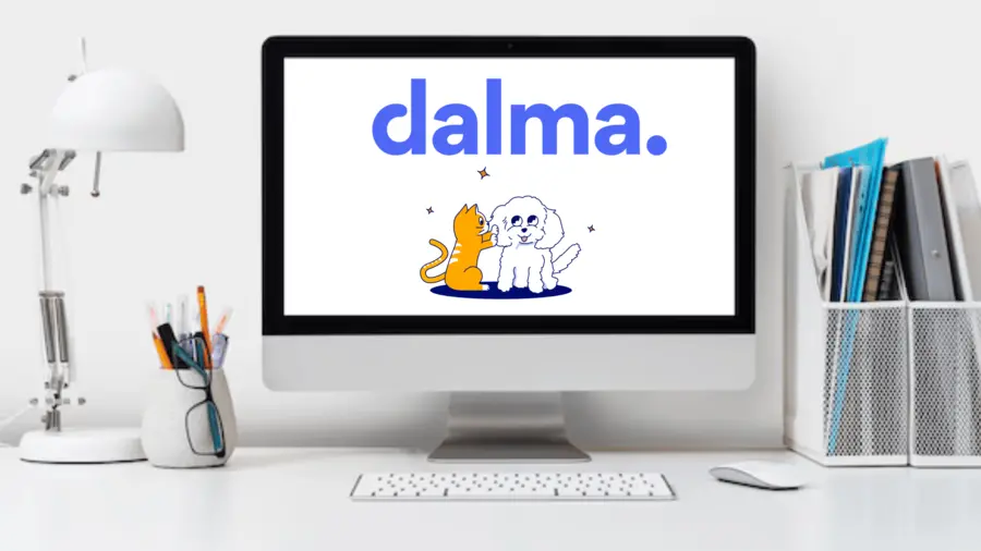 Assurance Animaux Dalma : tout ce qu'il faut savoir