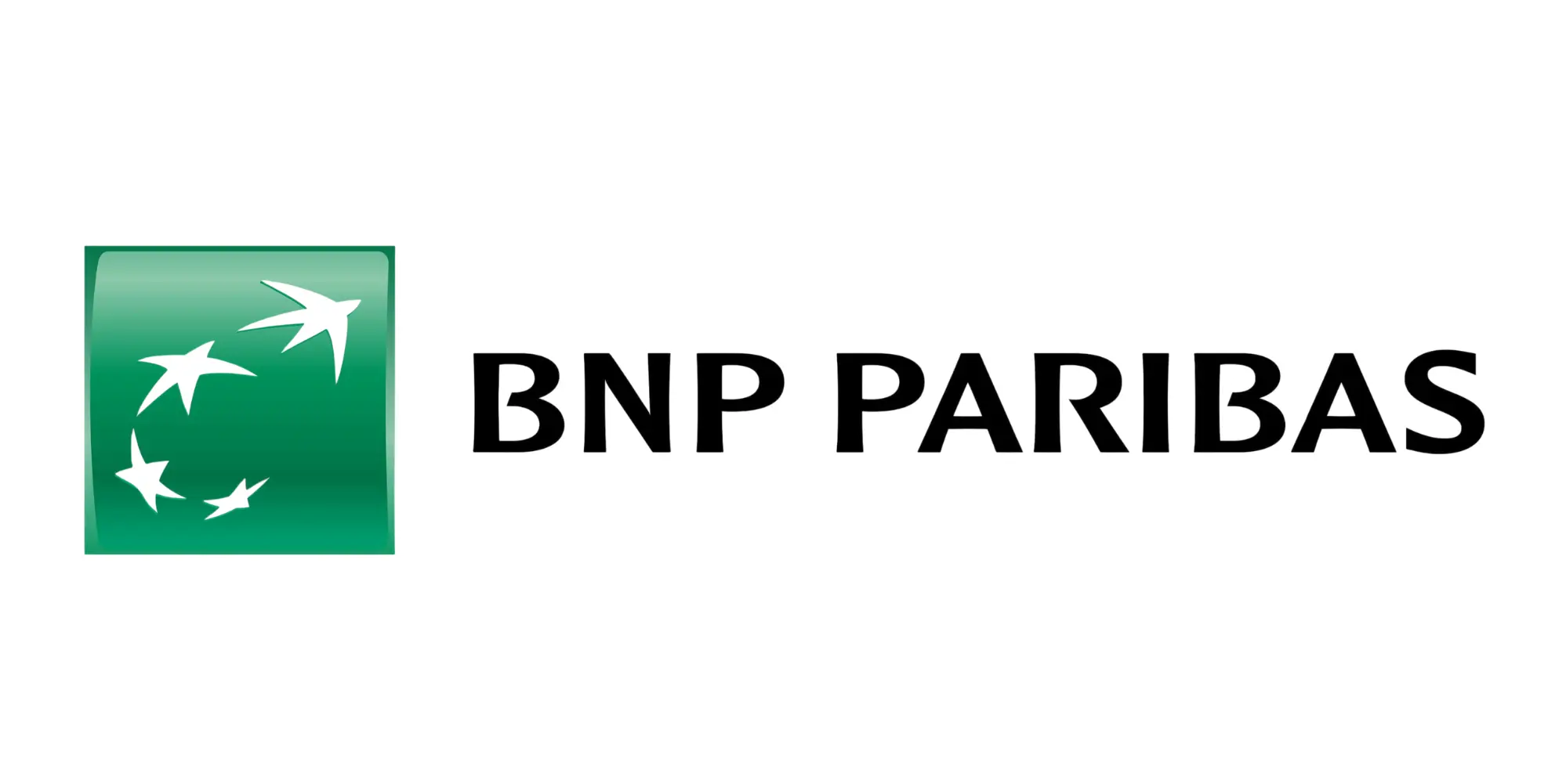 bnplogo2025